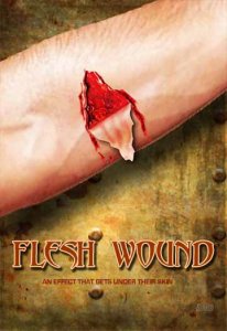 Flesh Wound by Chris Smith