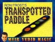 Transpotted Paddle by Ron Frost