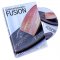 Fusion (With Coins And DVD) by Michael Rubinstein