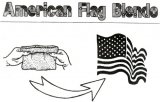 American Flag Blendo