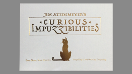 Curious Impuzzibilities by Jim Steinmeyer