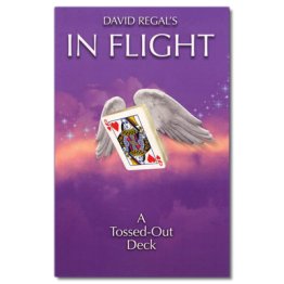 In Flight by David Regal