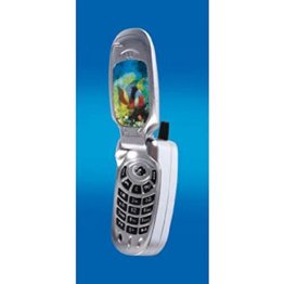 Electric Shock Cell Phone