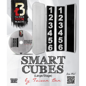 Smart Cubes RED Large by Taiwan Ben